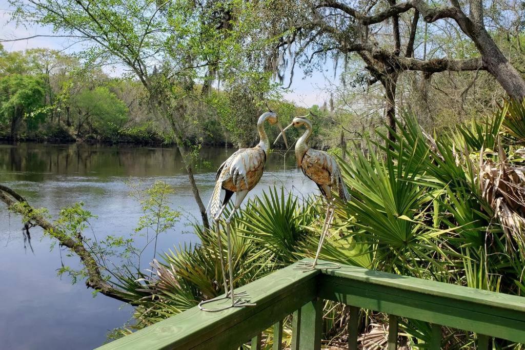 Margaritaville On The Suwannee River - photo 35