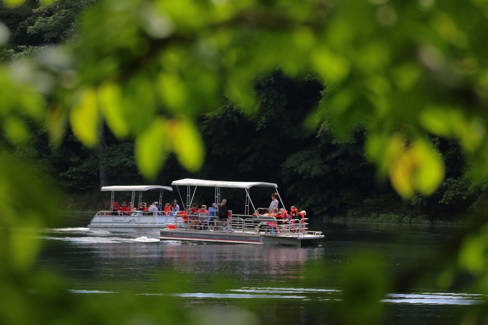 Greenbo Lake State Resort Park - photo 14