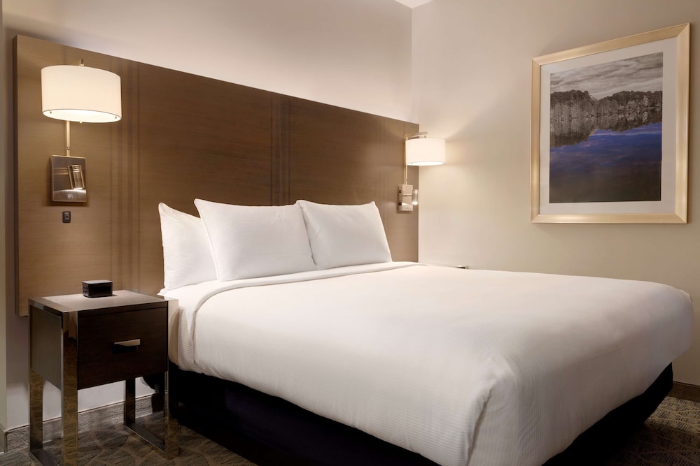 Embassy Suites by Hilton The Woodlands at Hughes Landing - photo 11
