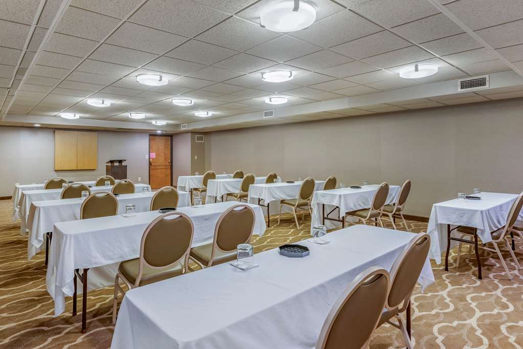 Comfort Inn Lansing West - photo 36