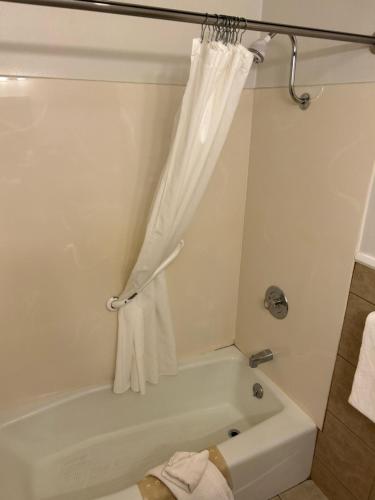 Redwood Arms Motel - photo 24