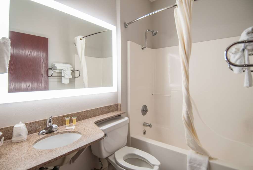 Microtel Inn & Suites by Wyndham Scott Lafayette - photo 18