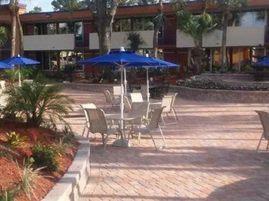 Maingate Kissimmee Hotel - photo 5
