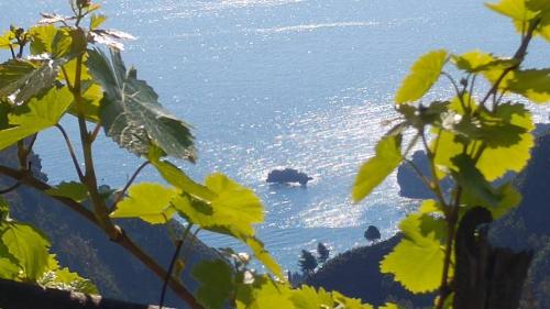 Casa il Faro villa con piscina — 4-Star Luxury Hotel in Castelmola, Italy