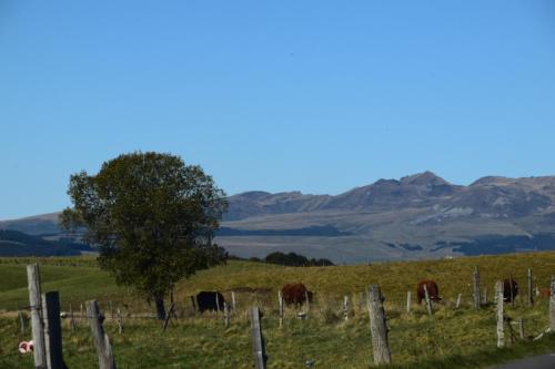 Les Marmottes de Murol - last minute hotel in Unknown City