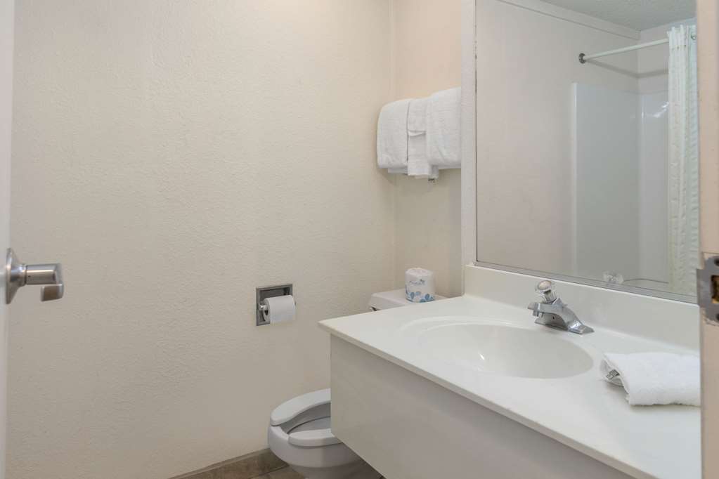 Rodeway Inn Auburn Hills Detroit - photo 23