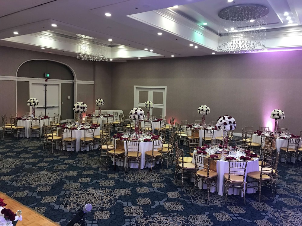 Hilton Palm Beach PBI - photo 159