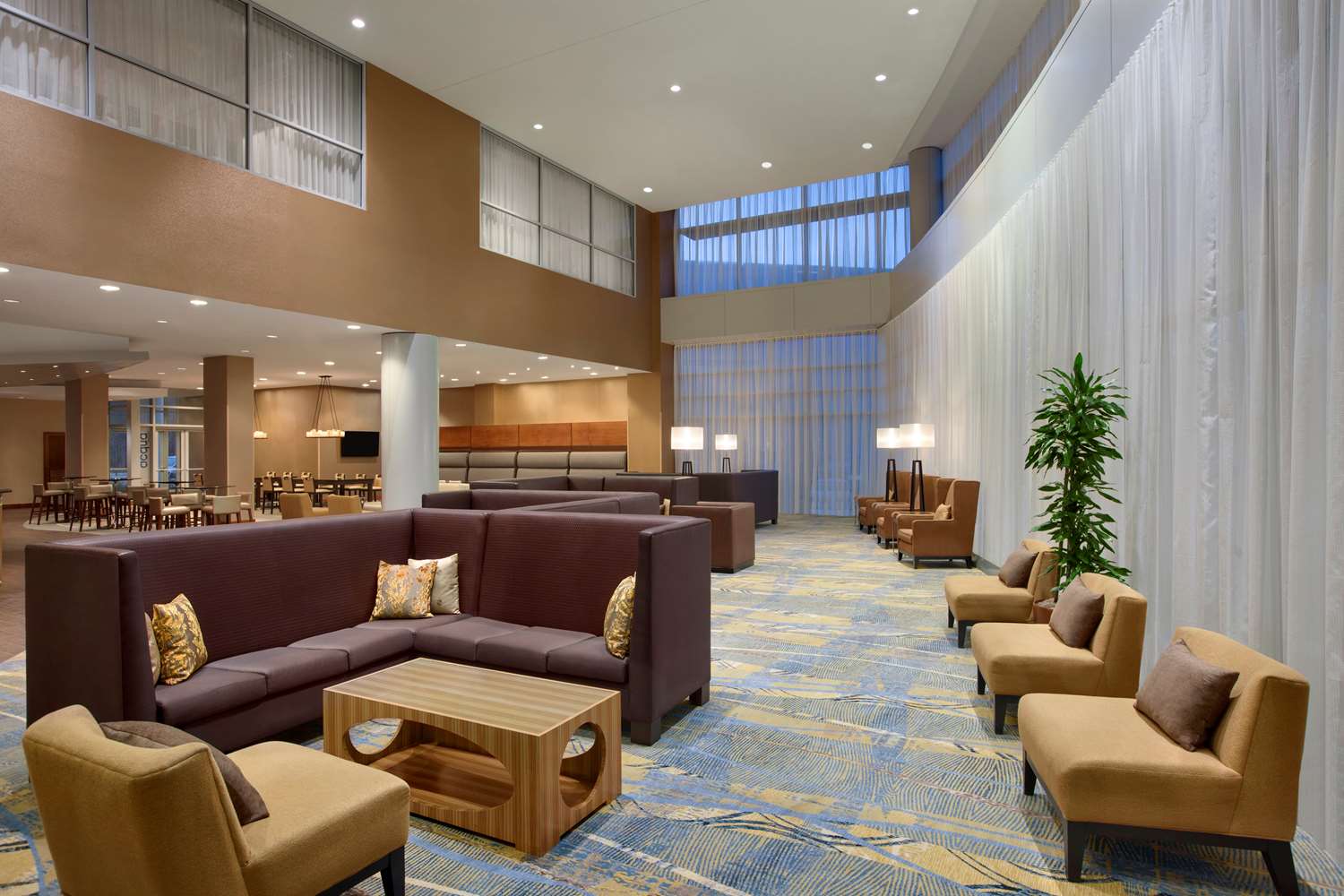 Hilton Baltimore BWI Airport - photo 12