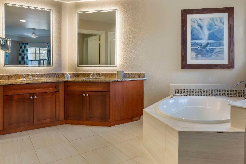 Hilton Grand Vacations Club SeaWorld Orlando - photo 215