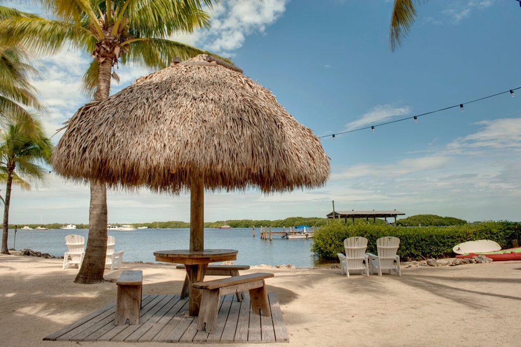 Coconut Palm Inn - photo 57