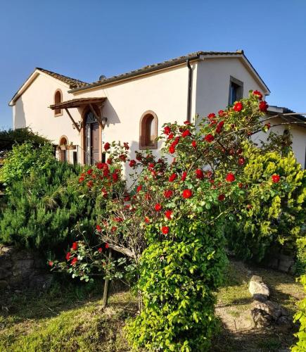 Borgo de' Muracci - carbon neutral hotel in Ribolla