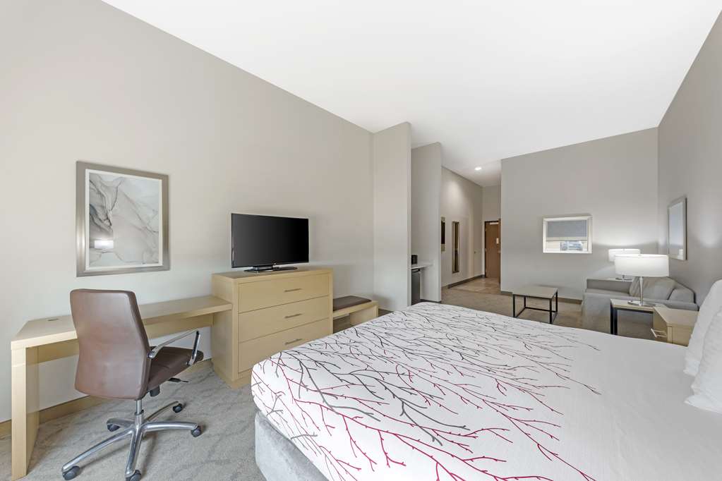 Best Western Plus Chickasha Inn - photo 19