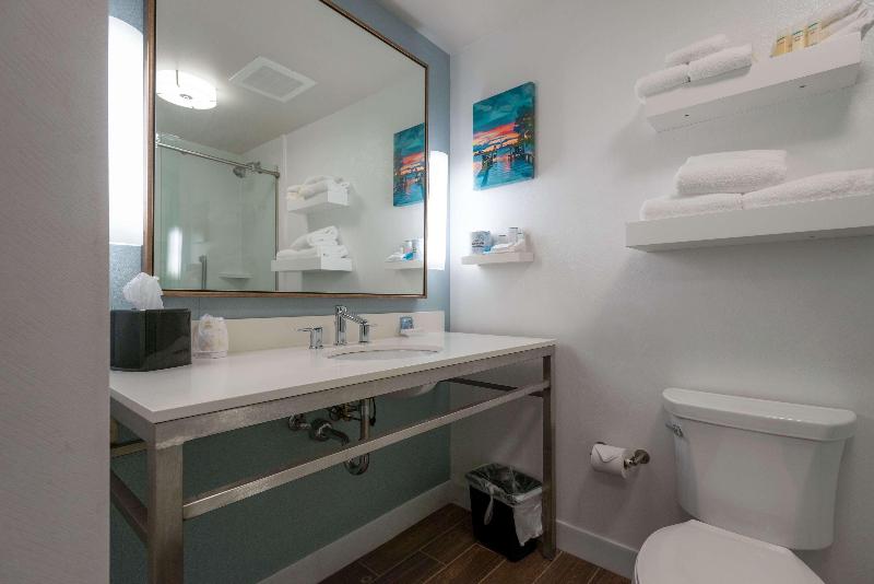 Hilton Garden Inn Mobile Downtown - photo 84