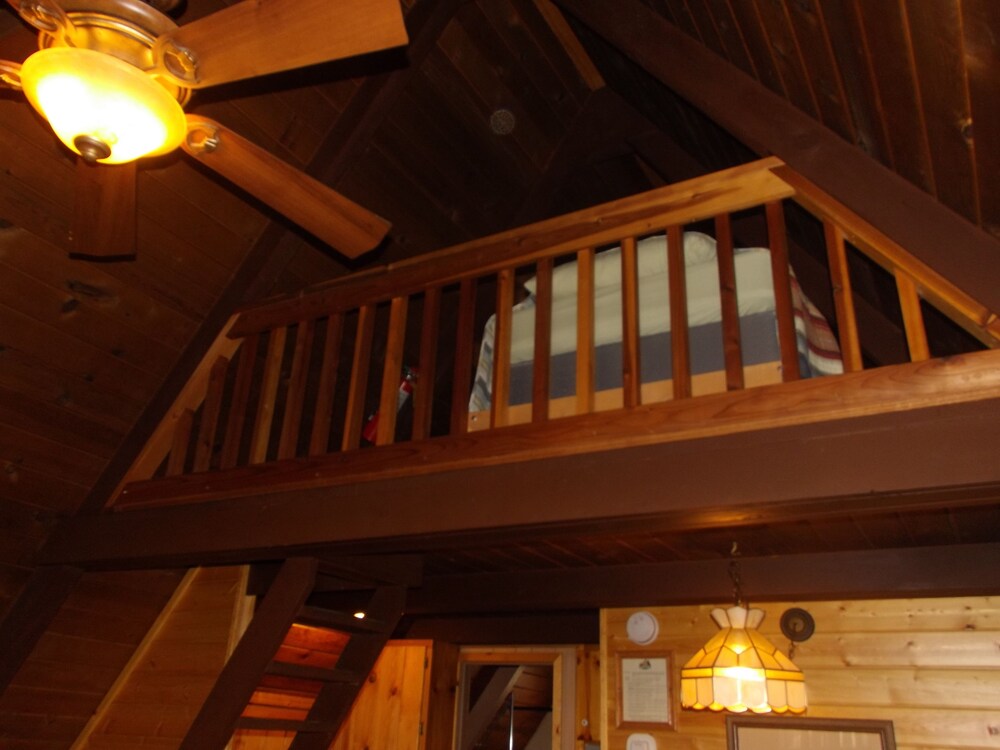 Arizona Mountain Inn and Cabins - photo 49