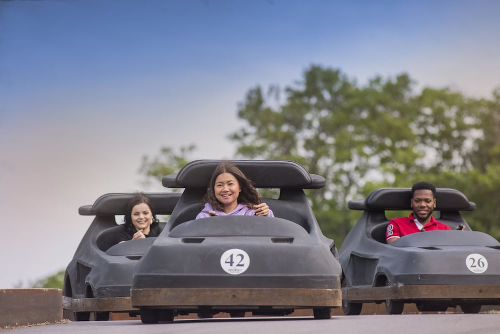 Mt. Olympus Water & Theme Park Resort - photo 127