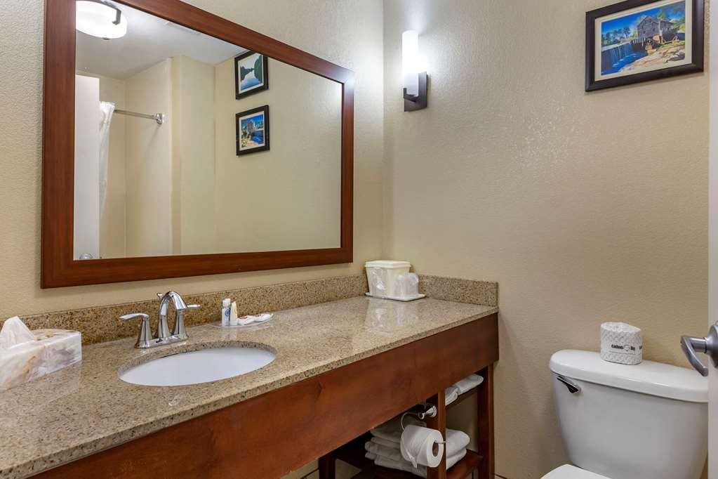 Comfort Suites Clayton Garner - photo 6