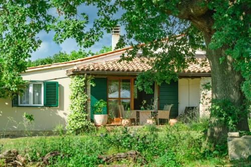 House Boris — 4-Star Luxury Hotel in Marcana, Croatia
