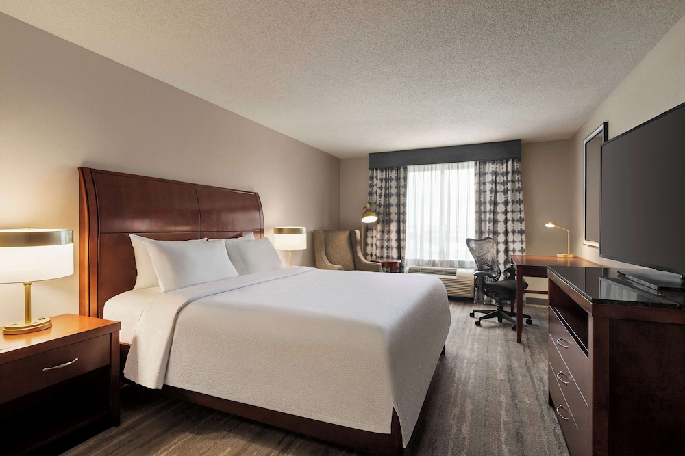 Hilton Garden Inn Fort Myers Airport FGCU - photo 16