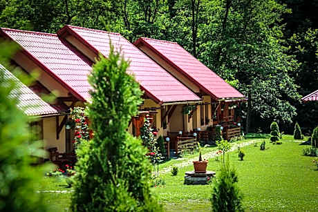 Patakmenti Panzio SPA — hotel in Corund