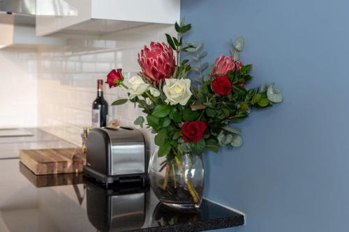 Tranquil Spacious Quiet Trendy with a View