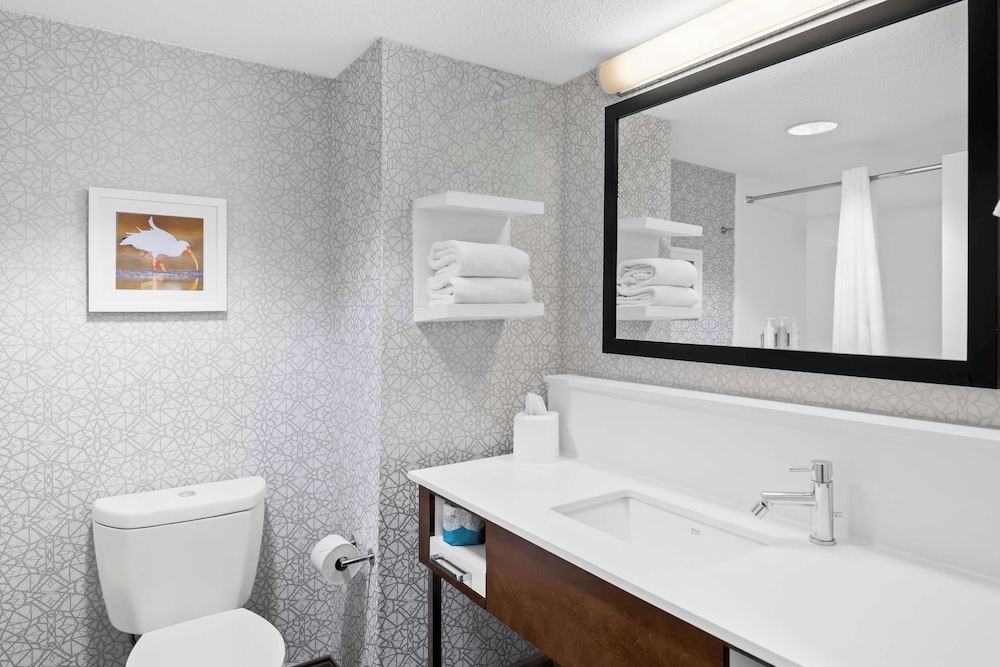 Hampton Inn Debary Deltona - photo 19