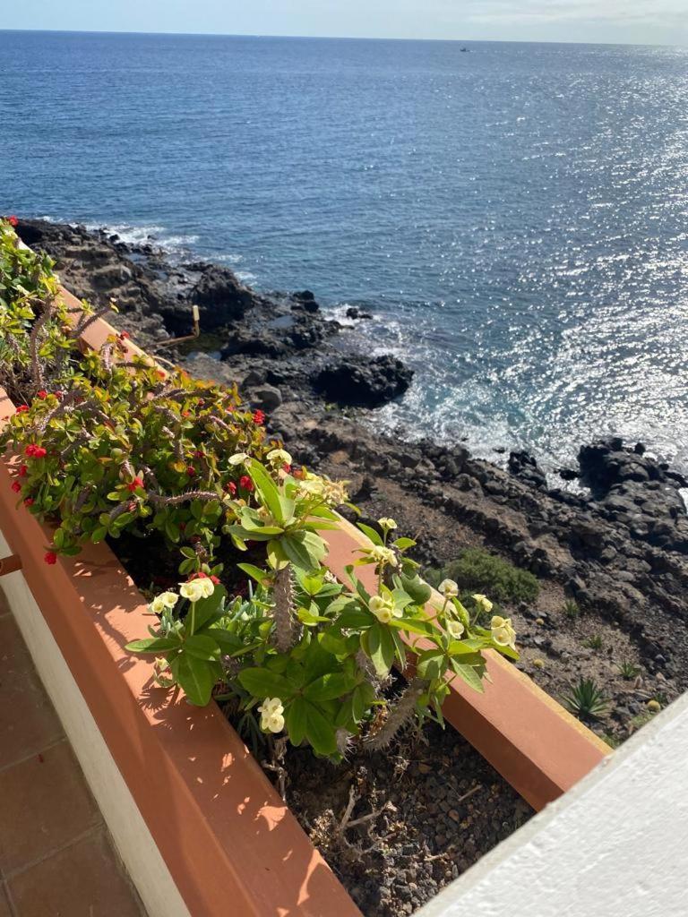Listen the Bay 230 — Arona — photo 2