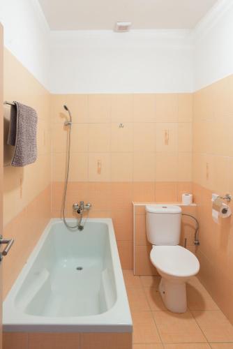 Penzion Lihovar pet-friendly hotel Rouchovany