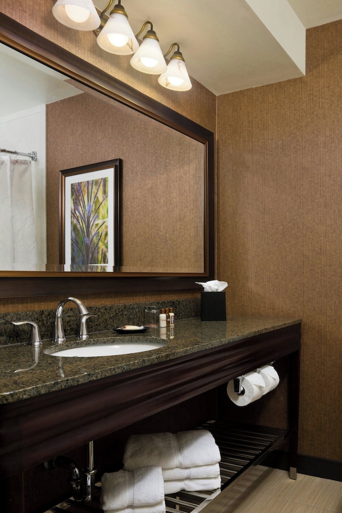 Sheraton Springfield Monarch Place Hotel - photo 17