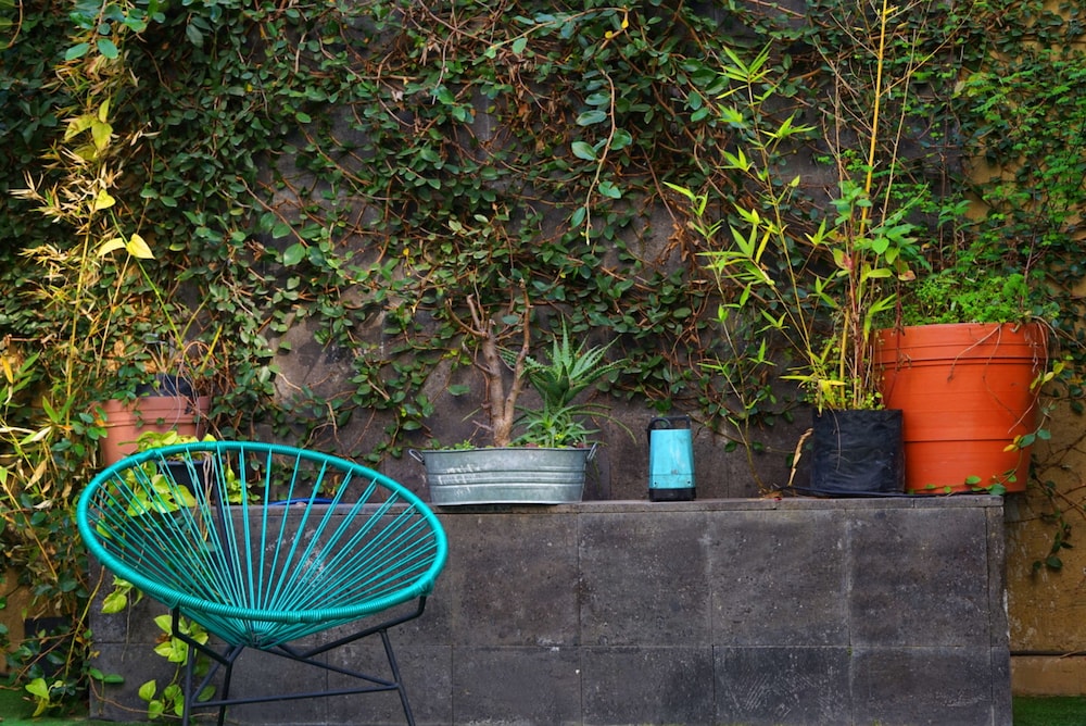 Blue Pepper Hostel & Bar