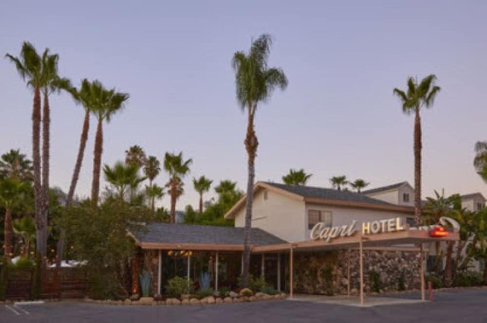 The Capri Hotel - photo 17