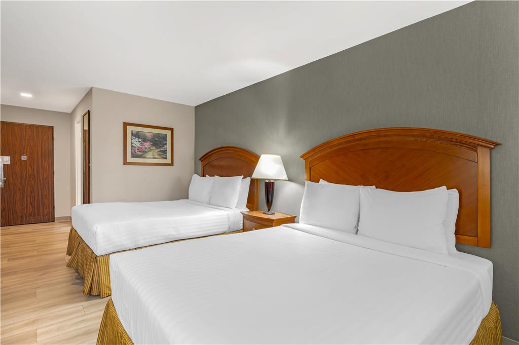Best Western Manassas - photo 22