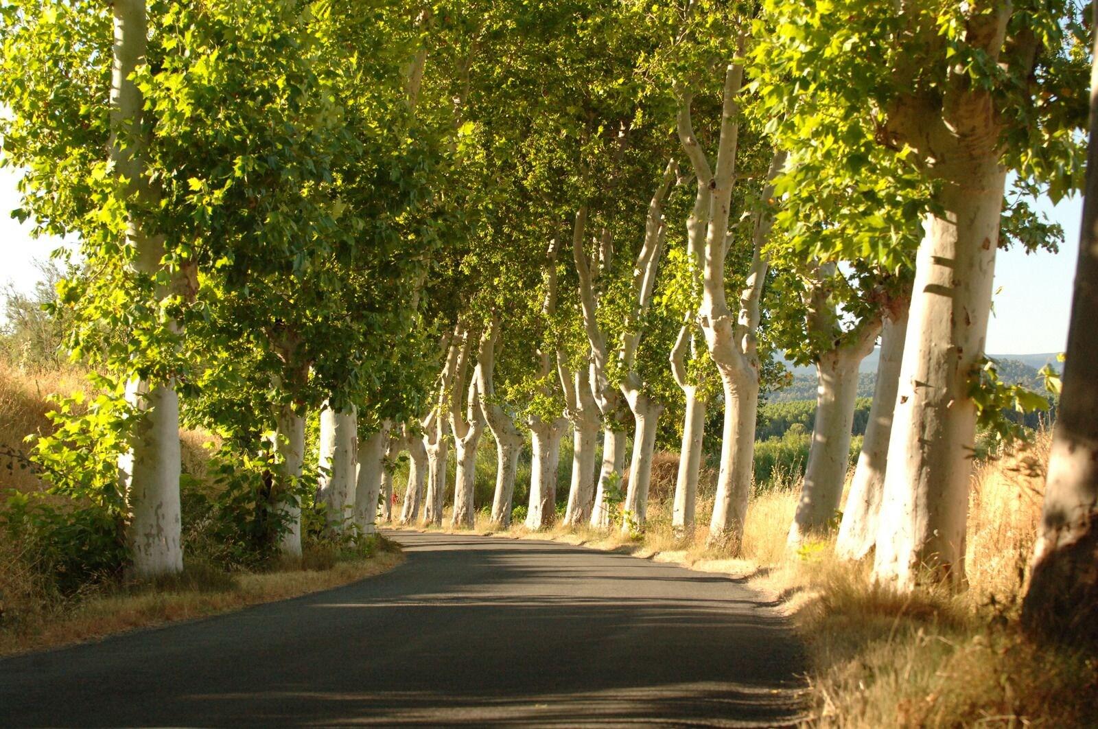 Chateau du Puits es Pratx — hotel in Ginestas