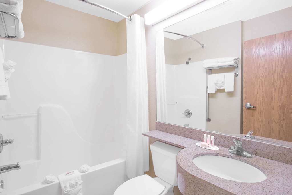 Microtel Inn & Suites by Wyndham Albertville - photo 9