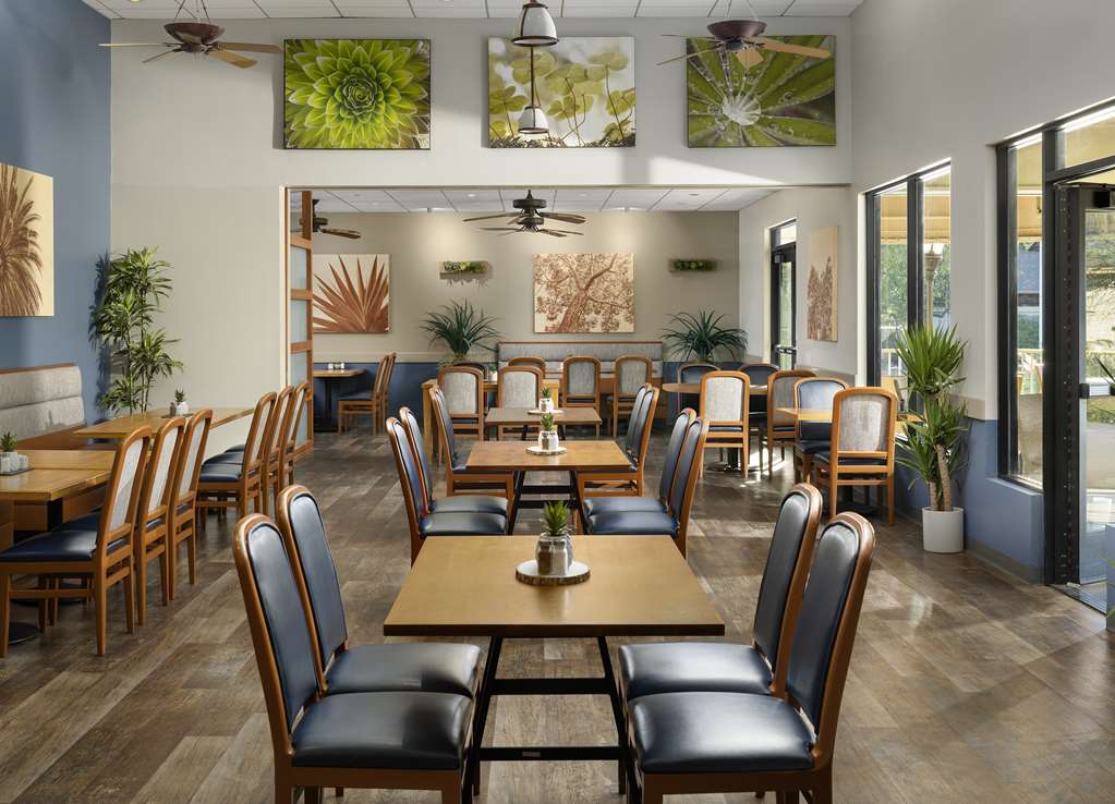 Hyatt Vacation Club at the Welk San Diego - photo 6