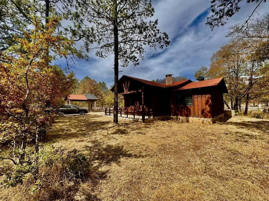 Cabaña Rincón del Bosque en Durango pet-friendly hotel Llano Grande