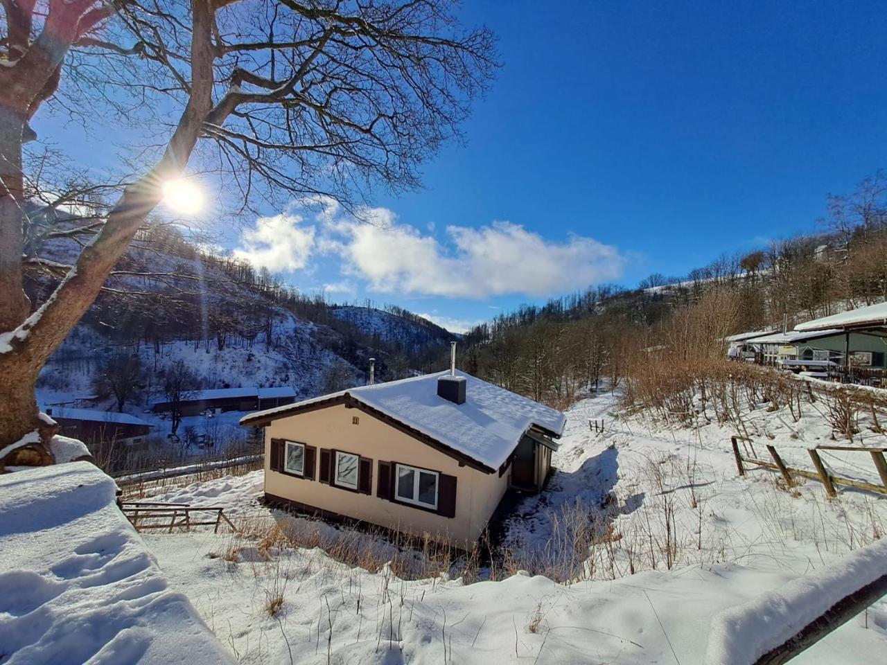 Ferienhaus Denise Harz — Sankt Andreasberg