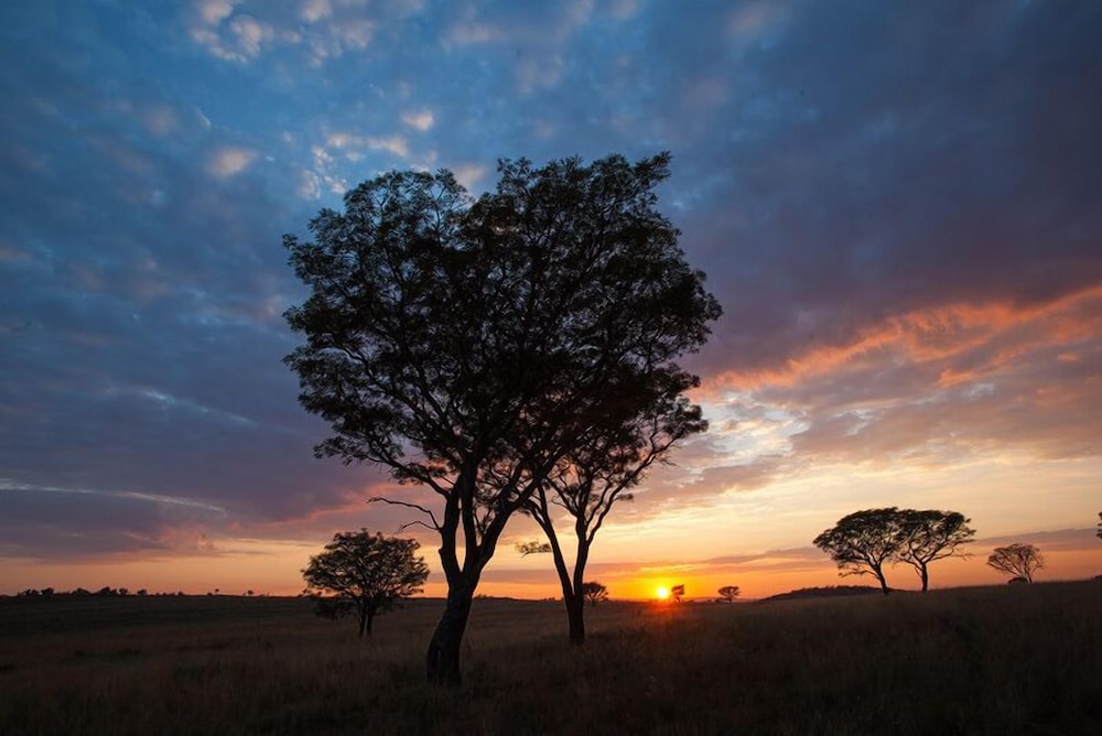 Ezemvelo Nature Reserve 9215210 — Bronkhorstspruit