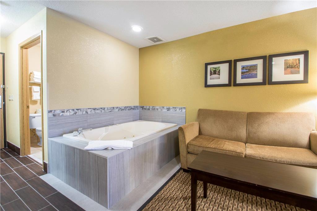 Comfort Suites Wisconsin Dells Area - photo 35