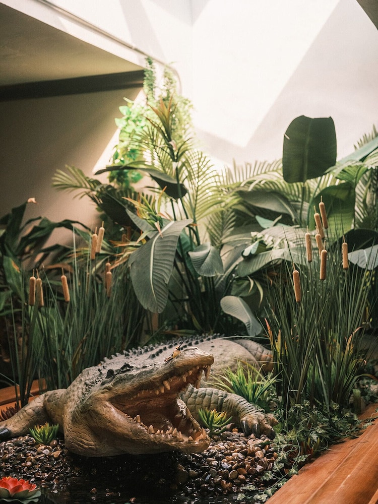 Hotel Crocodile & Crocodile Music Venue - photo 2