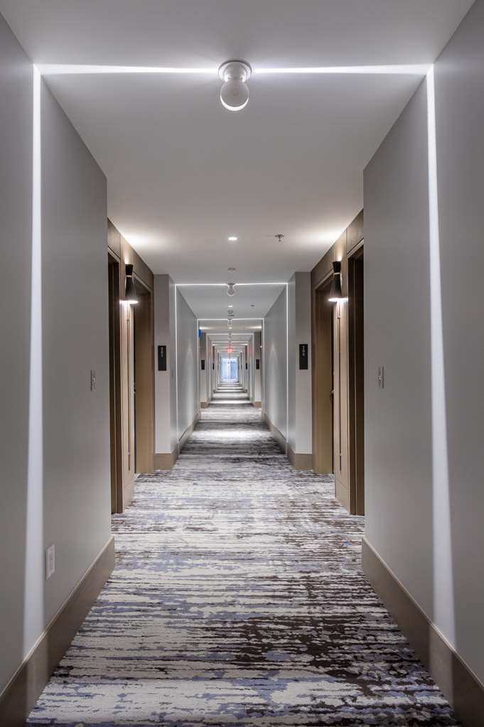 Shashi Hotel Mountain View Palo Alto - photo 6