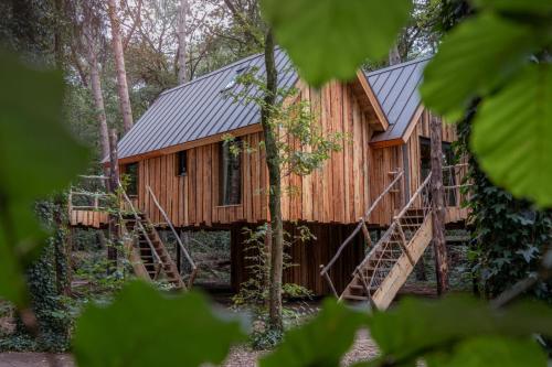 New Unique Treehouses with hot tub in Oisterwijk — carbon neutral stay, Oisterwijk