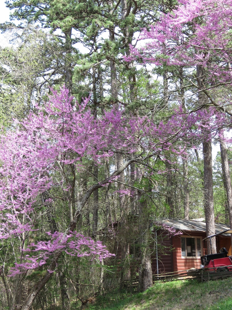 Tall Pines Inn - photo 149