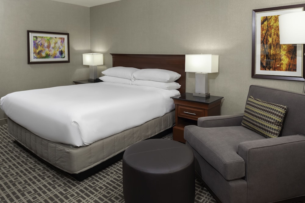 DoubleTree by Hilton Kansas City Overland Park - photo 18