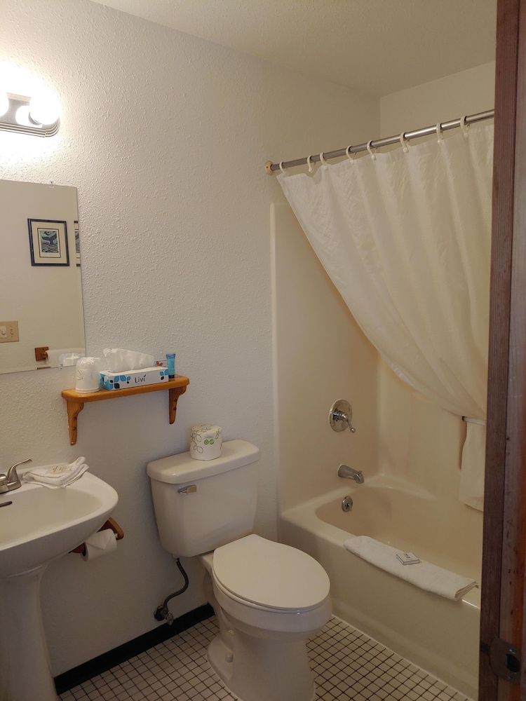 The Dublin House Motel - photo 49