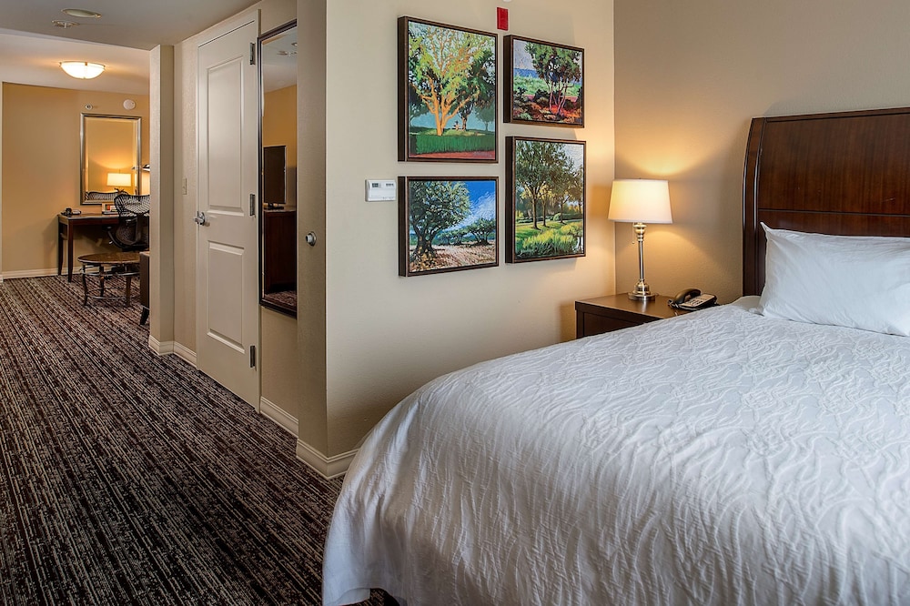 Hilton Garden Inn St. Louis Airport - photo 7