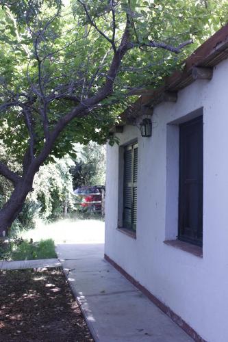 Cabaña en Olivar Centenario Agroecológico Tutuna pet-friendly hotel Pocito