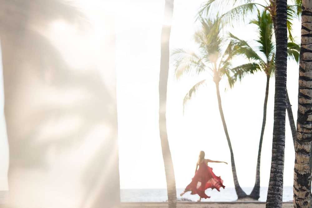 Fairmont Orchid - photo 147