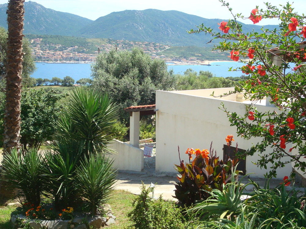 Residence L Alivetu — Olmeto