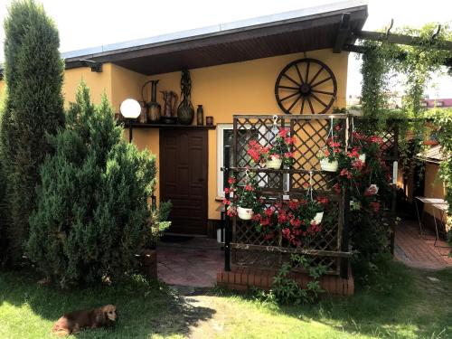 Mazury Domki letniskowe u Teresy — hotel in Wydminy