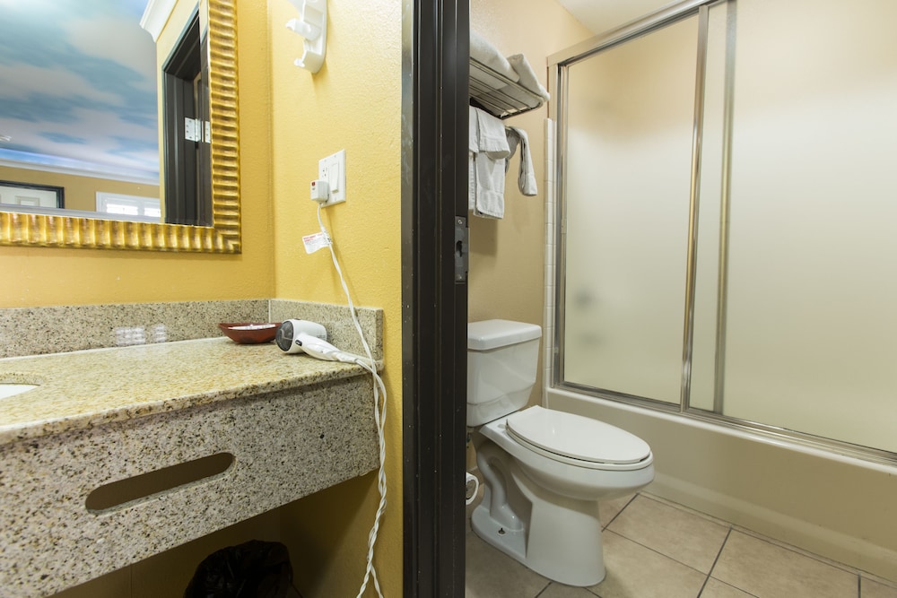 Hollywood Palms Inn and Suites - photo 61